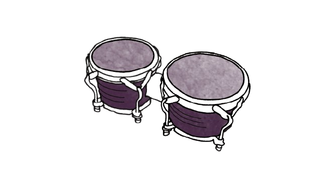 Bongos